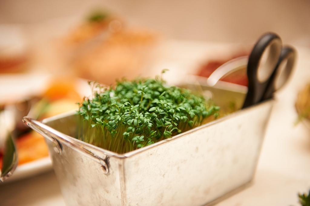 Vegan Hotel Und Restaurants Nicolay 1881 Zeltingen-Rachtig Exterior foto
